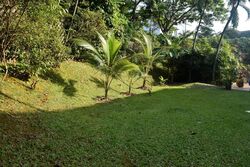 Ewart Park (D10), Detached #624513111